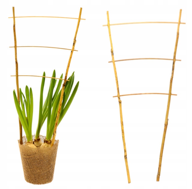 

Drabinka Bambusowa Podpora Pergola Rośliny 45 cm