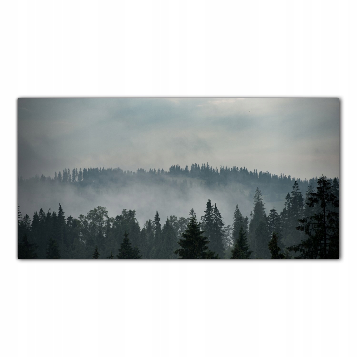 Hory Les Hmla Krajina 100x50 Lacobel do kuchyne