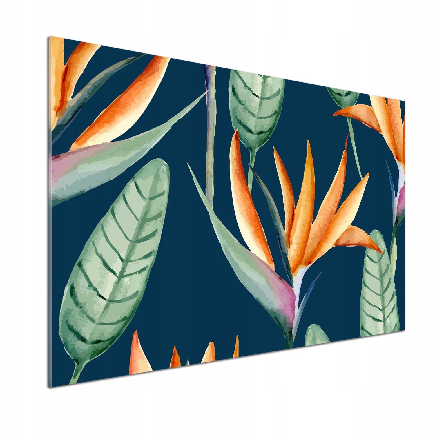 Panel lacobel Kráľovská Strelicia 100x70 cm Lepidlo