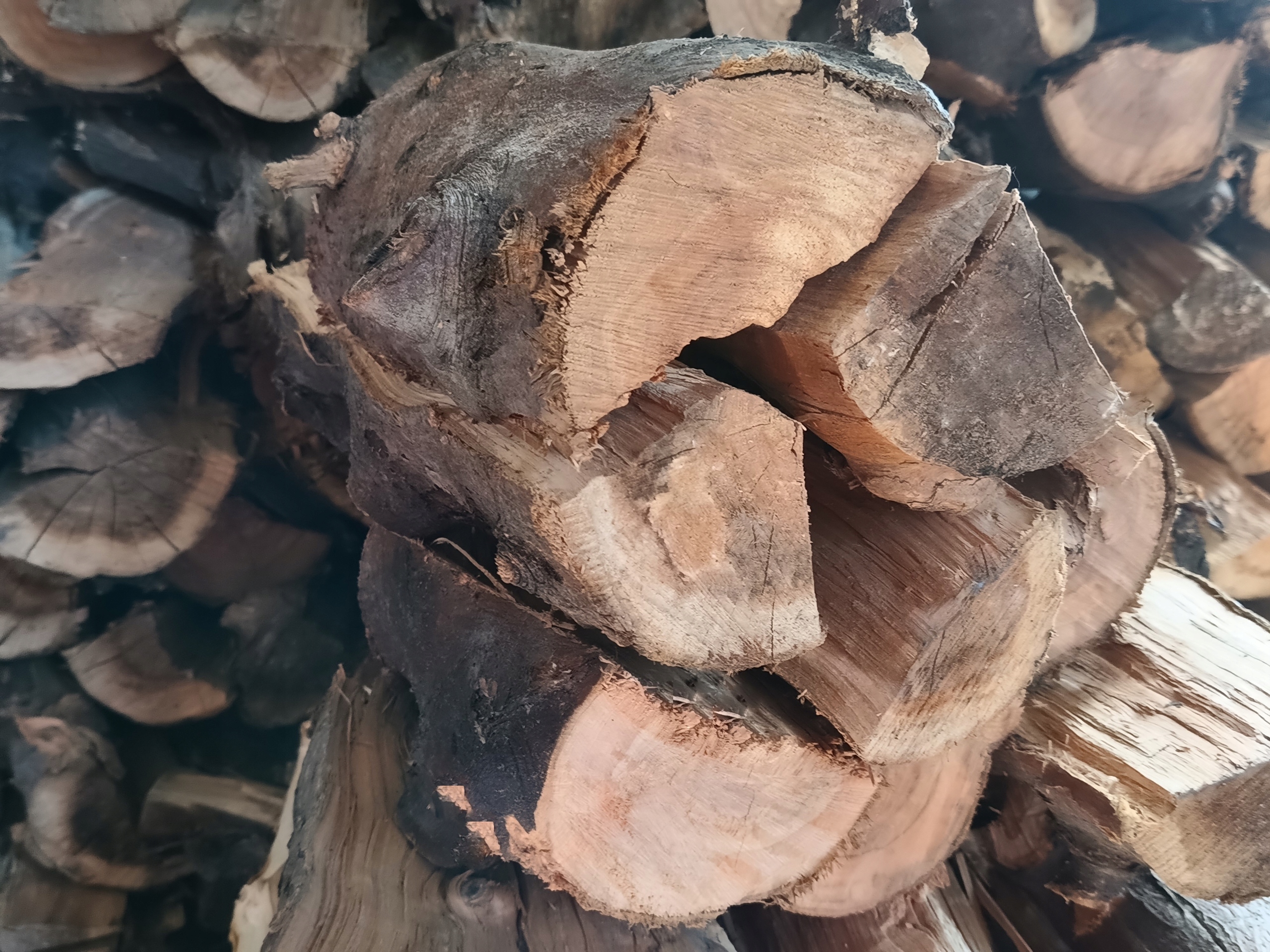 Drewno do kominka Kominkowe Opał Jabłoń Czereśnia sezonowane 20 kg Typ produktu drewno