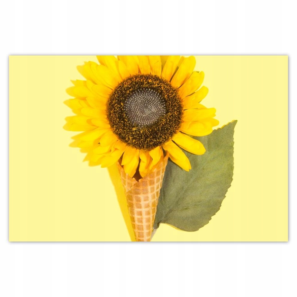 

Plakaty 60x40 Słonecznikowe love Lód