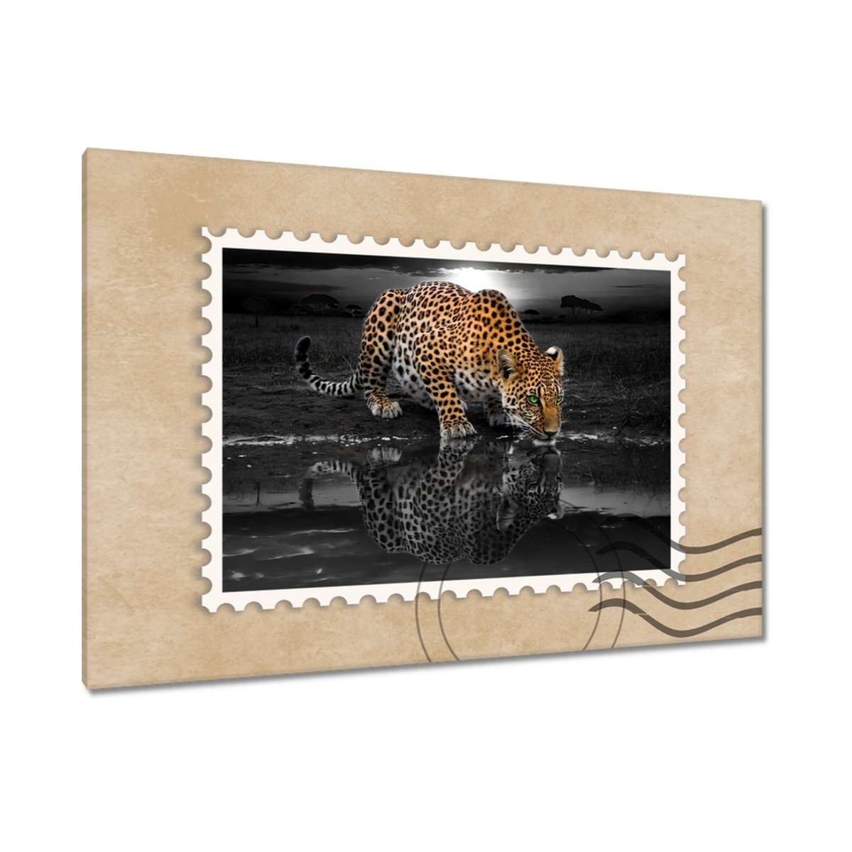Obrazy 120x80 Na Zeď Gepard Do Ložnice