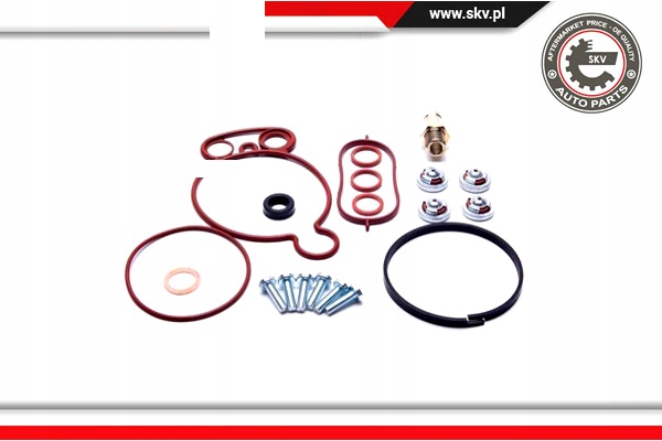 ESEN SKV ZESTAW NAPRAWCZY POMPY VACUM 18SKV805 Producent części ESEN SKV
