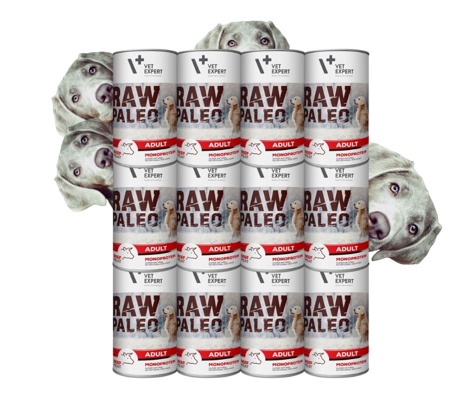 Levně Raw Paleo Krmivo mokré pro psa Adult Beef Hovězí maso sada 12x400g