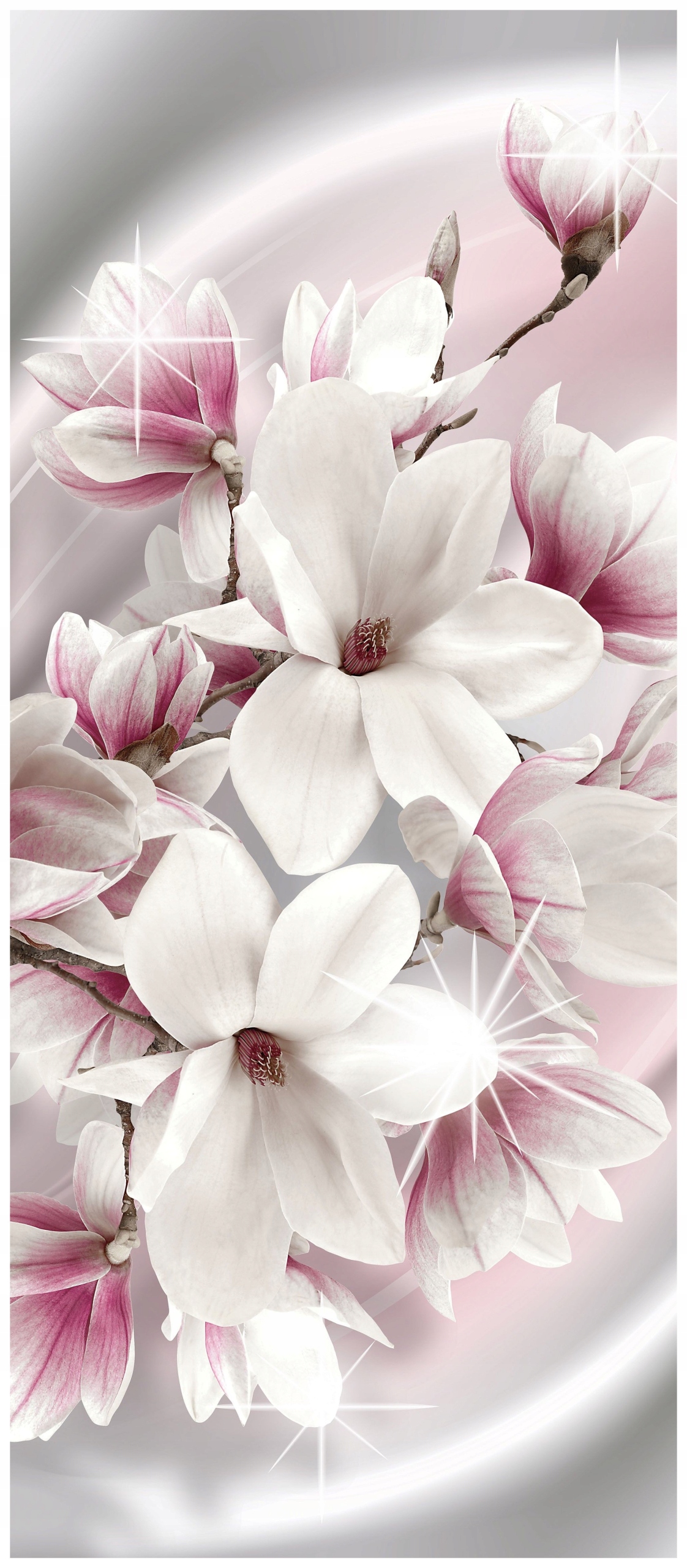 Samolepka Fototapeta Magnolie jarní kytice v růžovo-bílých tónech 91x211