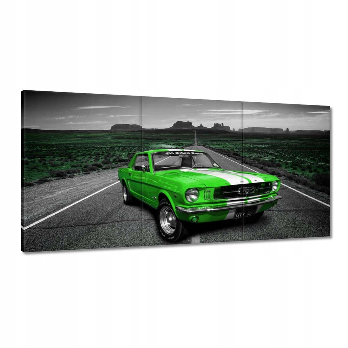 Obrazy 180x90 Limetkový Mustang