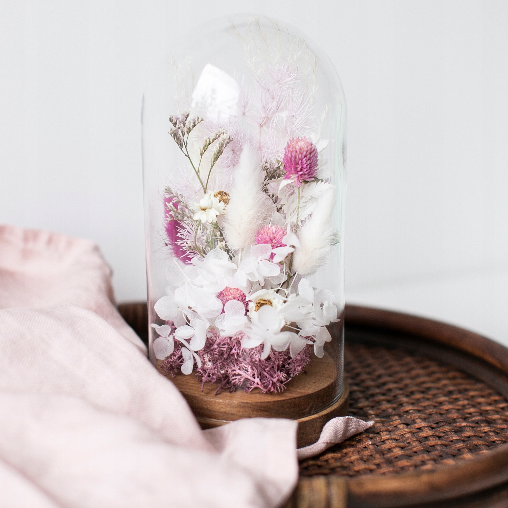 

Klosz Gomphrena kwiaty duży Miła Odmiana