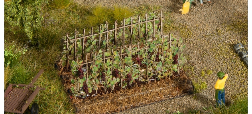 Noch 13224 Rabatka s vinnou révou ovoce stupnice Ho