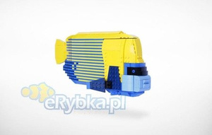 Lego Large Emperor Angelfish