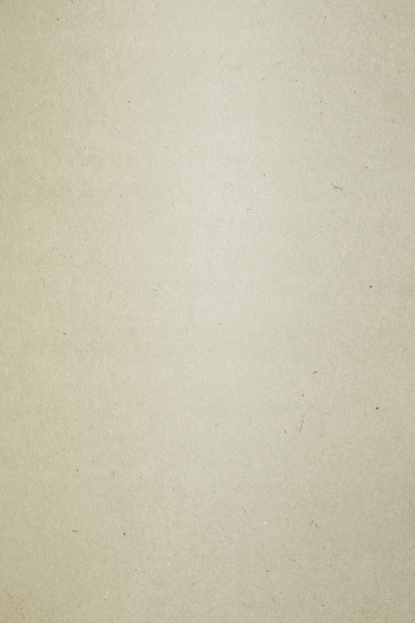 

Papier ekologiczny Flora 240g Crusca szary 10A4