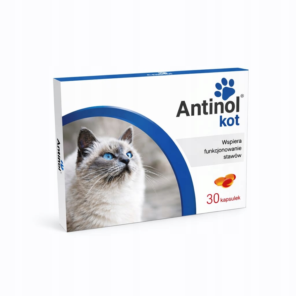 Antinol Kot suplement dla kota na stawy 30 kaps Biovico Sizarol