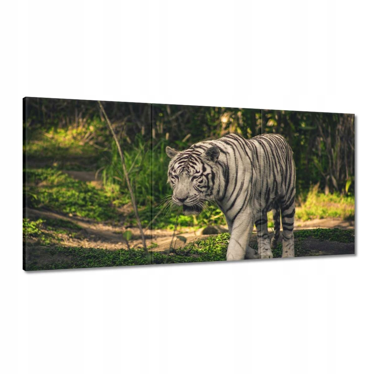 Obrazy 180x90 Tiger