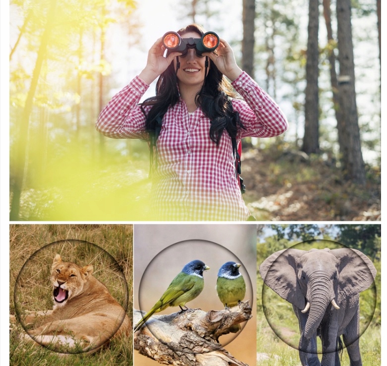 LORNETKA WOJSKOWA MYŚLIWSKA 50X50 ZOOM POKROWIEC COMET Kod producenta sdfsewg