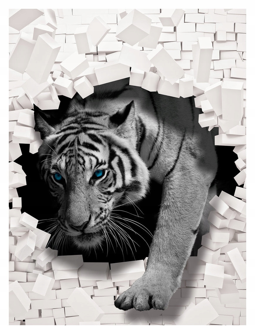 Fototapeta Tygr přes cihly, modré oči 184x254, vinylová lepidlo