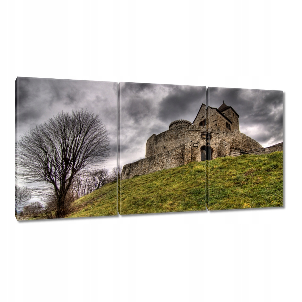 

Obrazy 120x60 Zamek w Będzinie