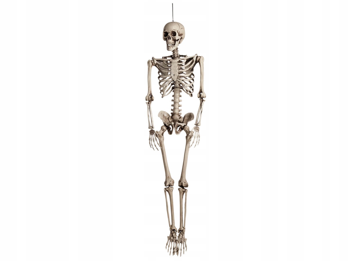 Závesná Dekorácia kostry 160 cm 1 ks