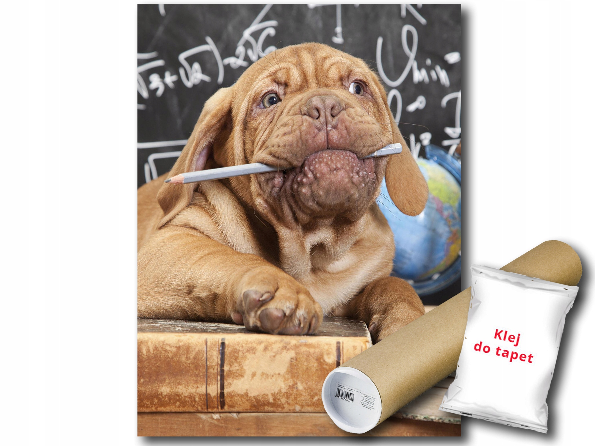 Fototapeta Flizelina Pes Škola Profesor 206x275