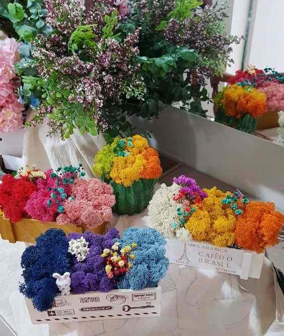 Mech CHROBOTEK RENIFEROWY 50g Natural Typ mech