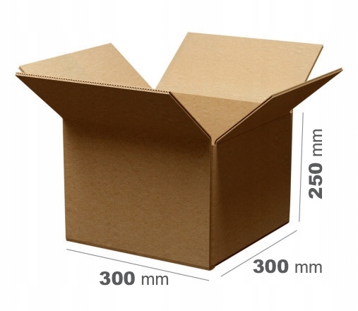 75x Karton klapowy Pudło 300x300x250 mm 3W szary Fala B Gabaryt C