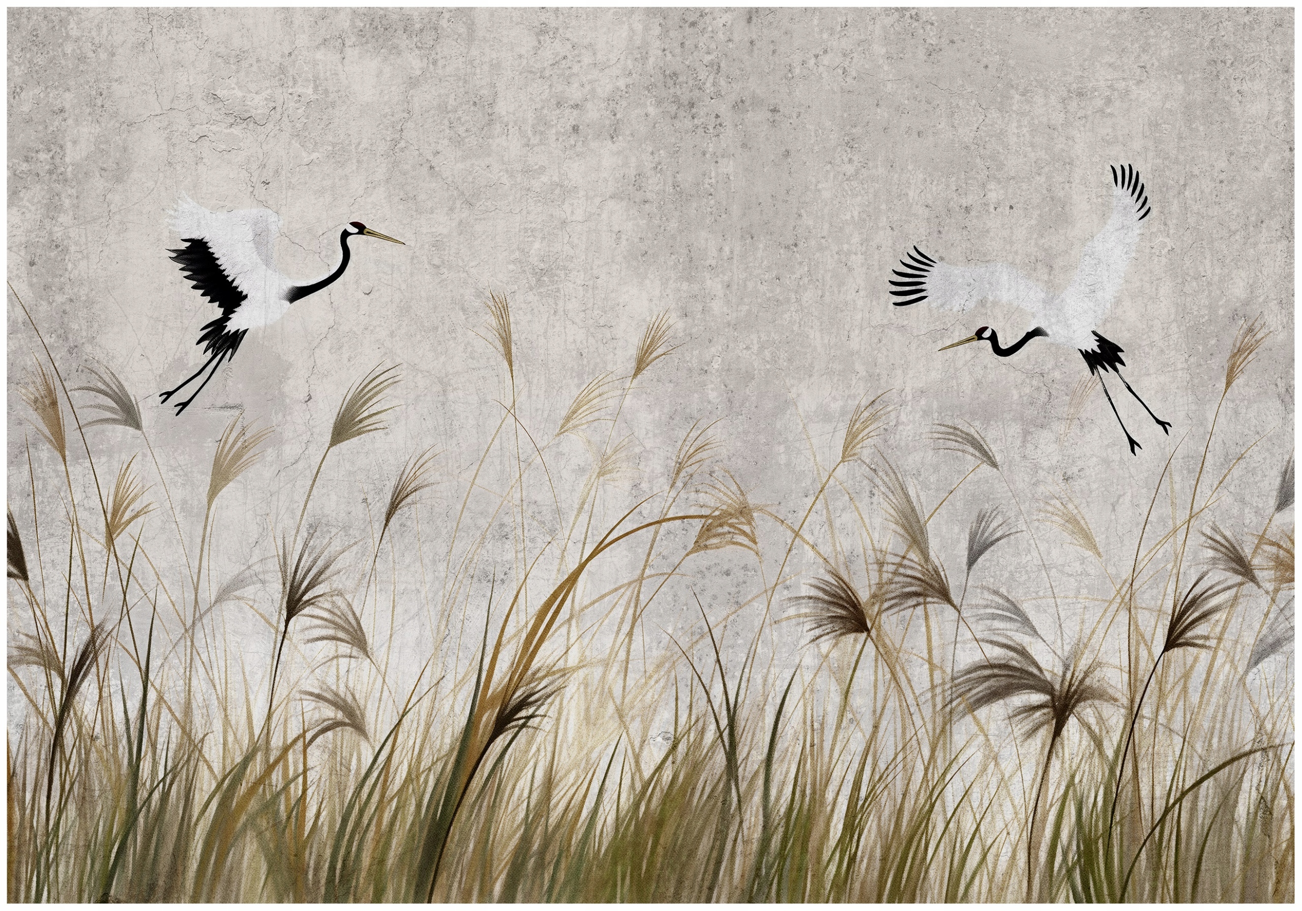 Fototapeta Žuravy Vtáky Pampová Tráva Do Spálne Obývačky Tapeta 350x250
