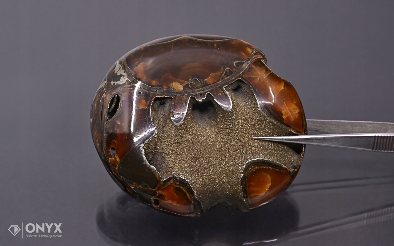 Amonit spiritizovaný nepravidelný 90x78 mm