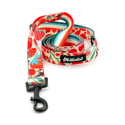 Vodítko pro psa Fruit Jelly Psiakrew 160 cm