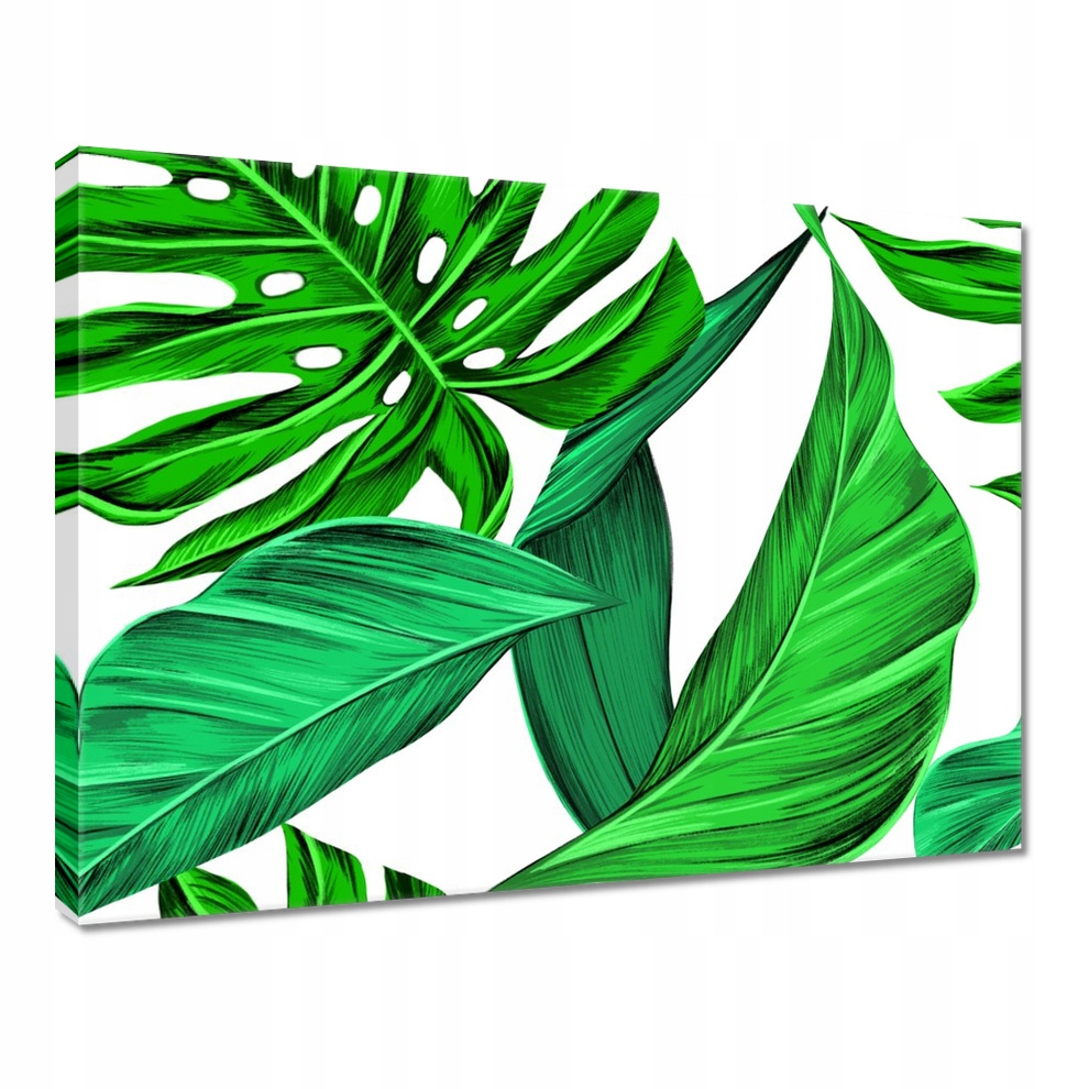 

Obraz 40x30 Soczysta Monstera Tropiki