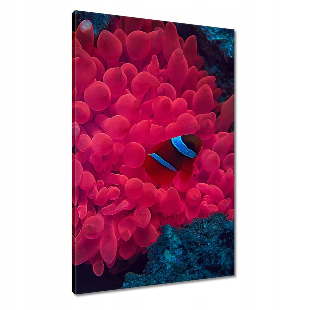 Obrazy 60x90 Divoká příroda v moři