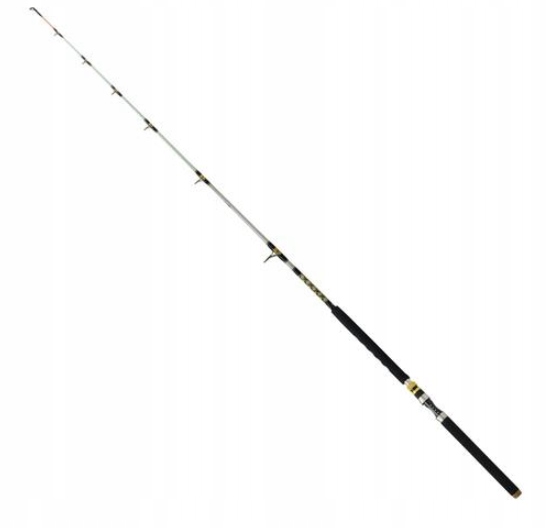 Robinson Siluro Spin 2,10M 50-250G