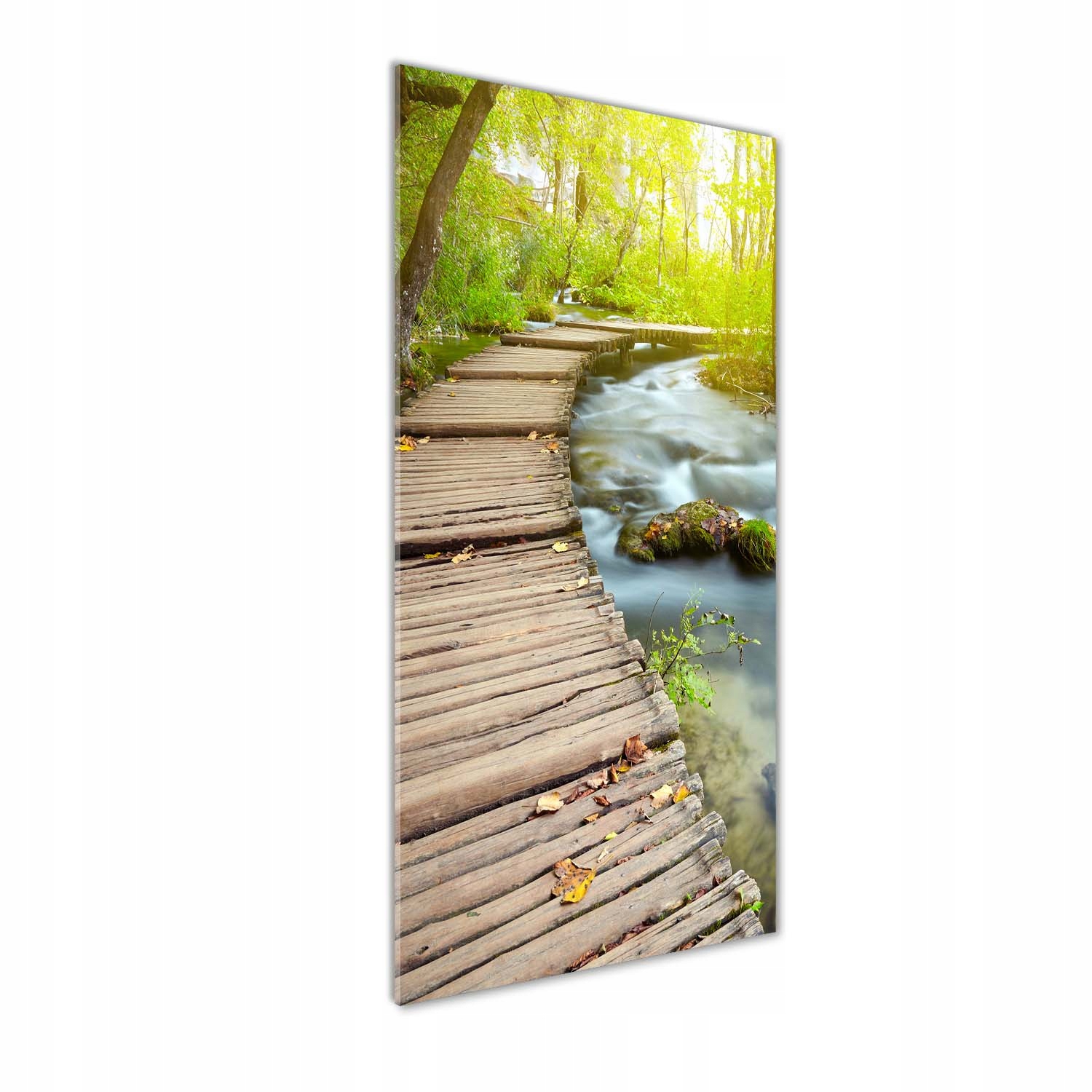 

Foto obraz szkło akrylowe Ścieżka w lesie 50x125cm