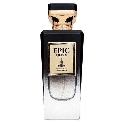 Risala Elite Epic Onyx parfémovaná voda pro muže 100 ml