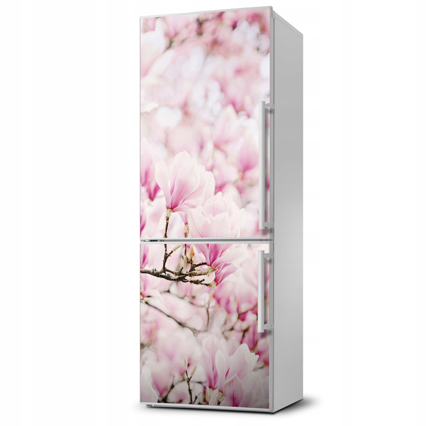 

Naklejka Magnes Magnes Kwiaty magnolii 60x180