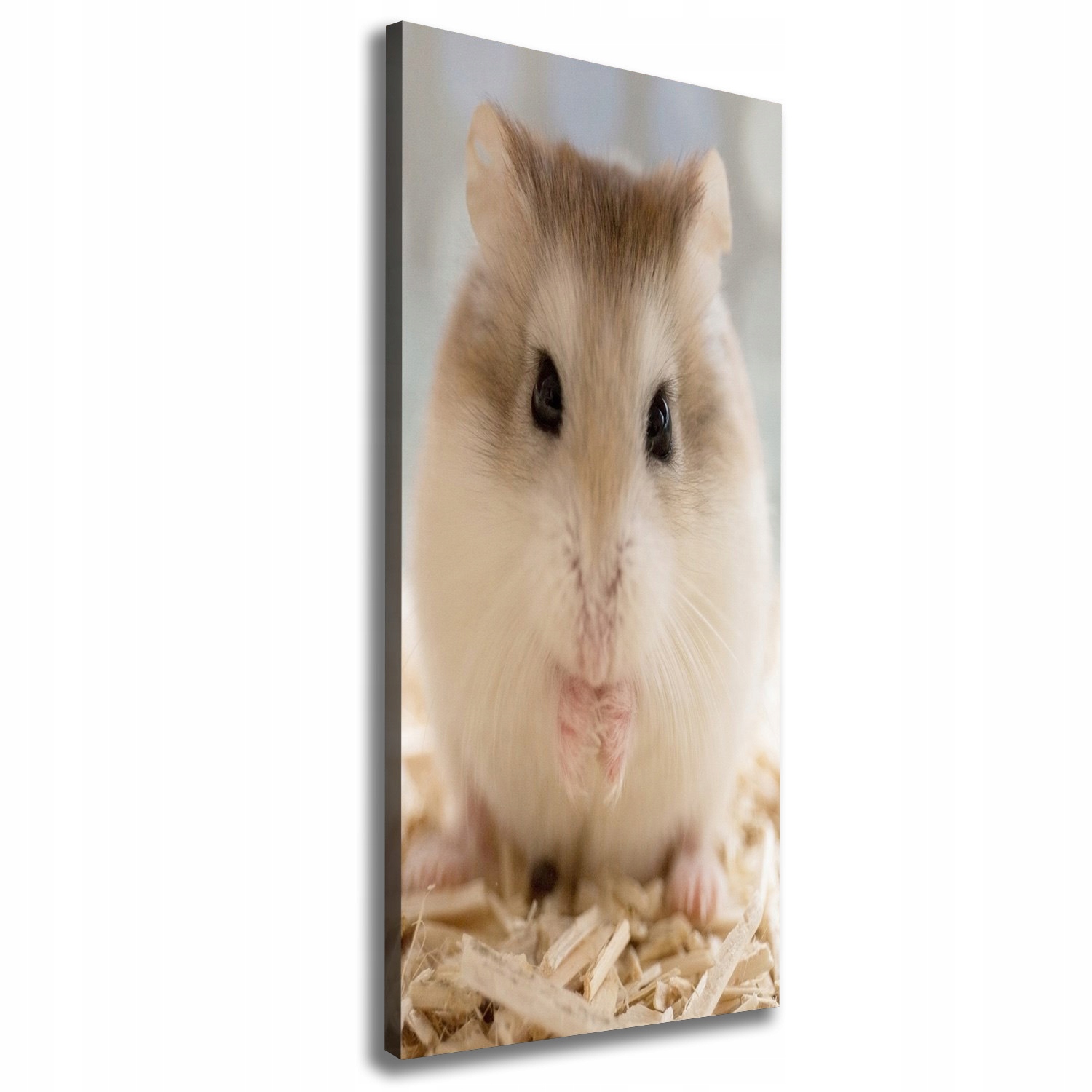 

Nowoczesny fotoobraz canvas na ramie Chomik 50x125