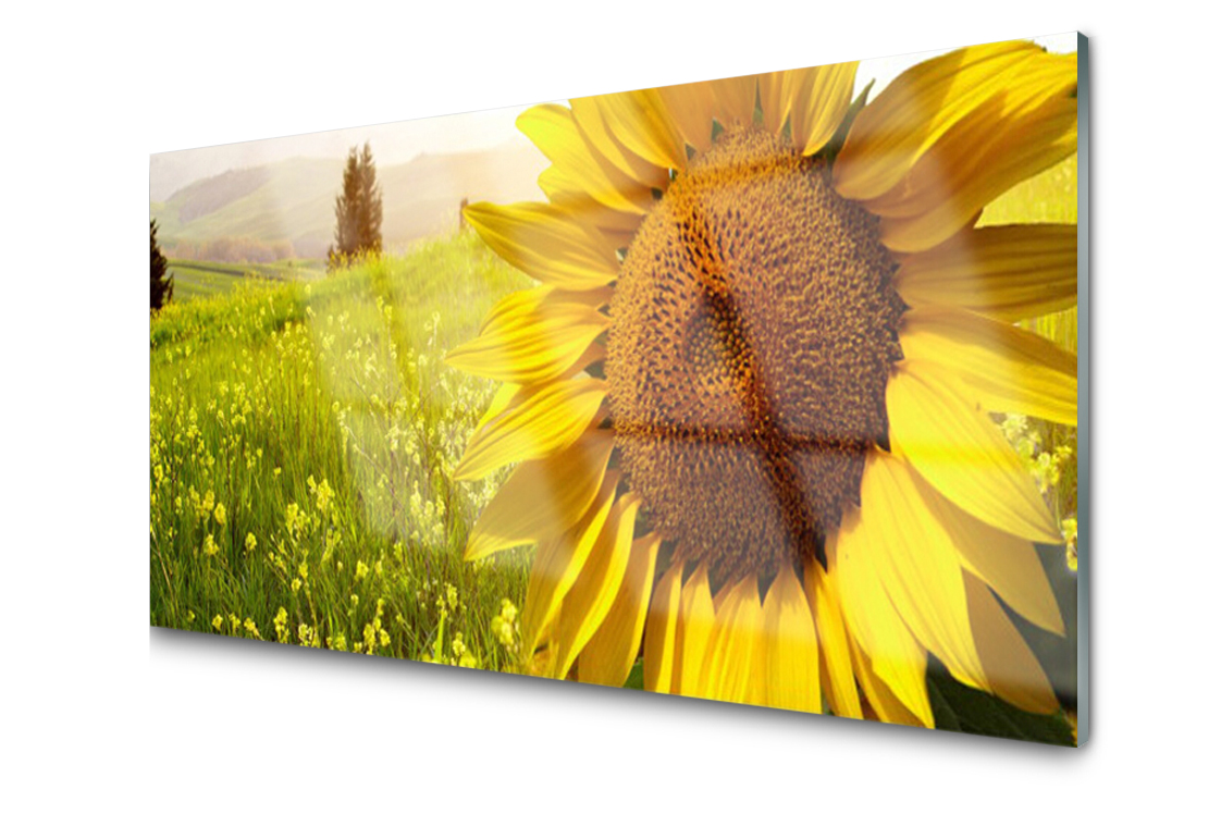 

Panel szklany Płytka Słonecznik Kwiat 140x70