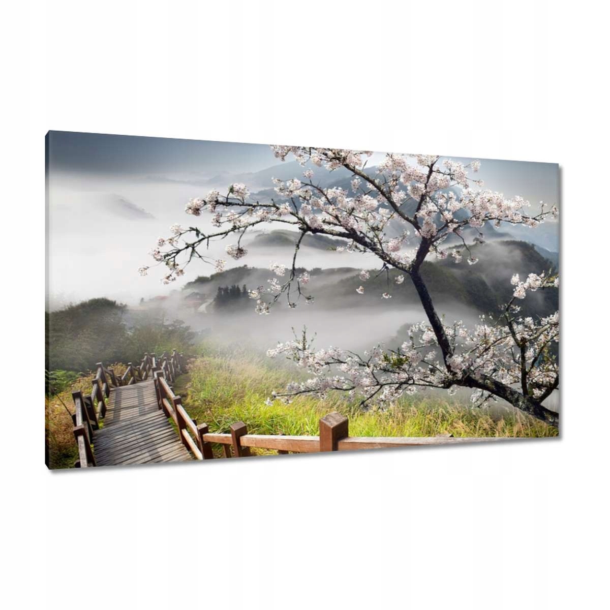 Obrazy 120x70 Japonsko Kvetoucí višeň