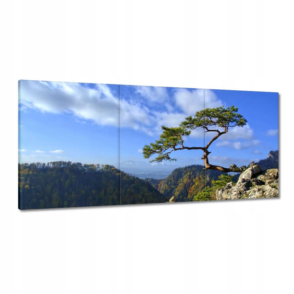 Obrazy 210x100 Krajina Pohledy Krajina
