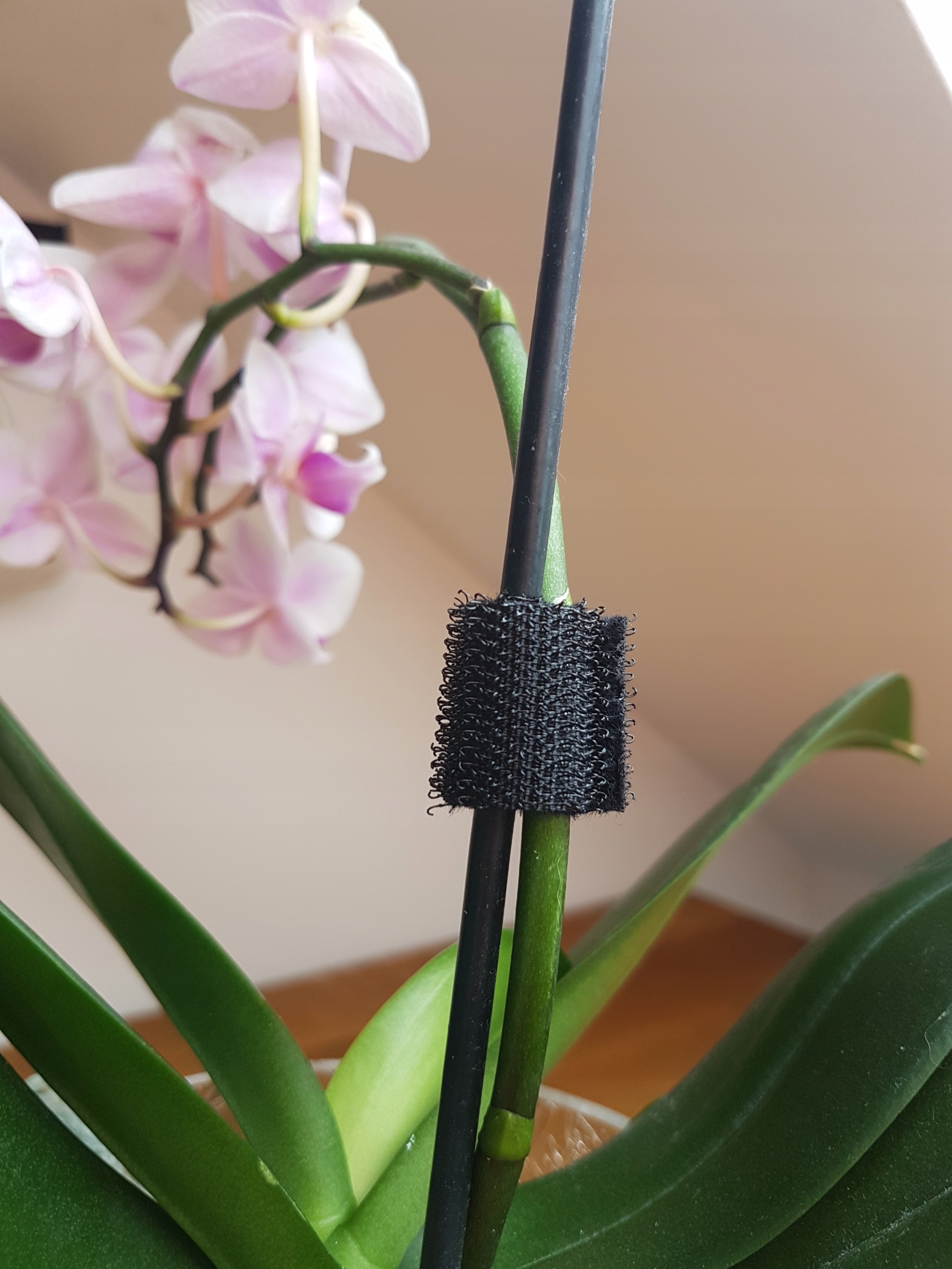 Taśma dwustronna rzep opaska organizer 3m Model Taśma dwustronna rzep opaska organizer3m