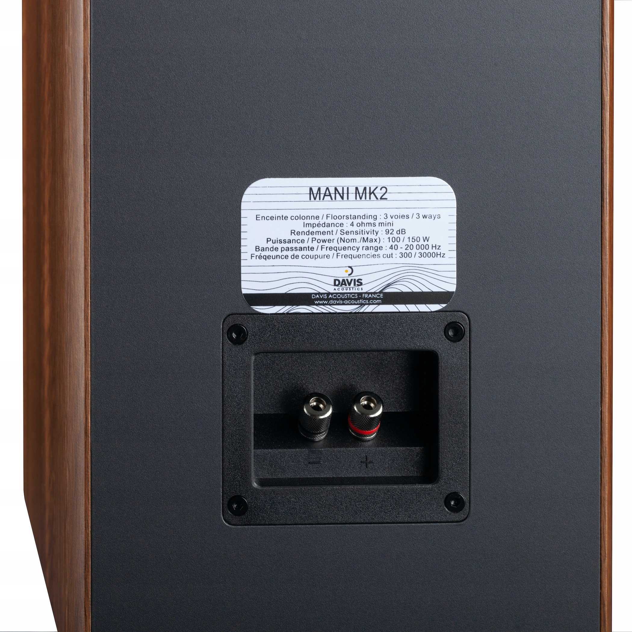Davis Acoustics Mani MK2 kolumny głośnikowe 92dB Model Mani MK2