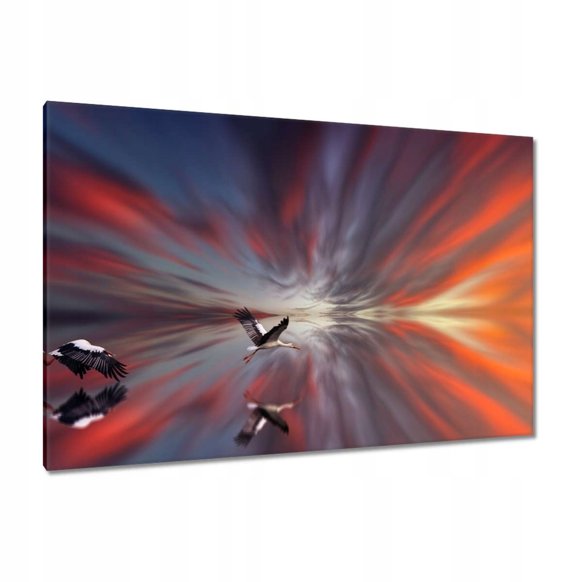 Obrazy 120x80 Zvířata Zvířátka