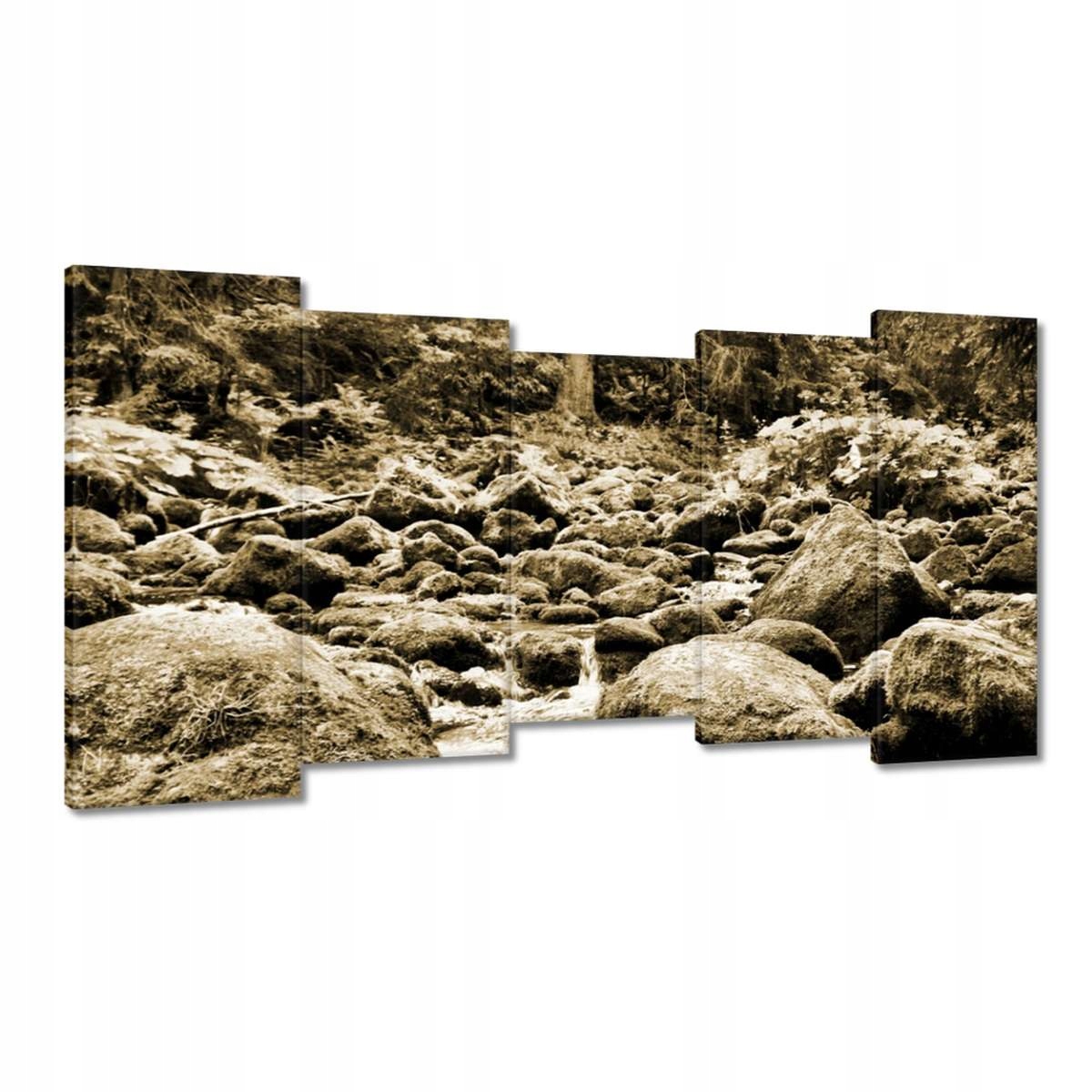 Obrazy 150x80 Tatry Polské hory Pohled
