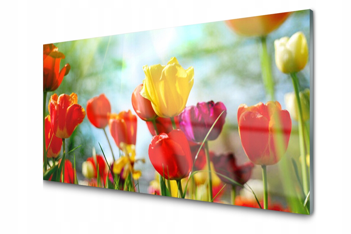 Dekorativní skleněný panel Dlaždice Květiny 100x50