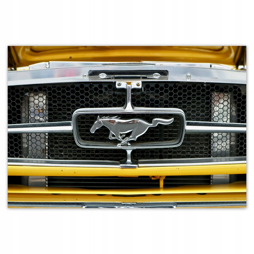 

Fototapety flizelina 104x70 Znak Ford Mustang