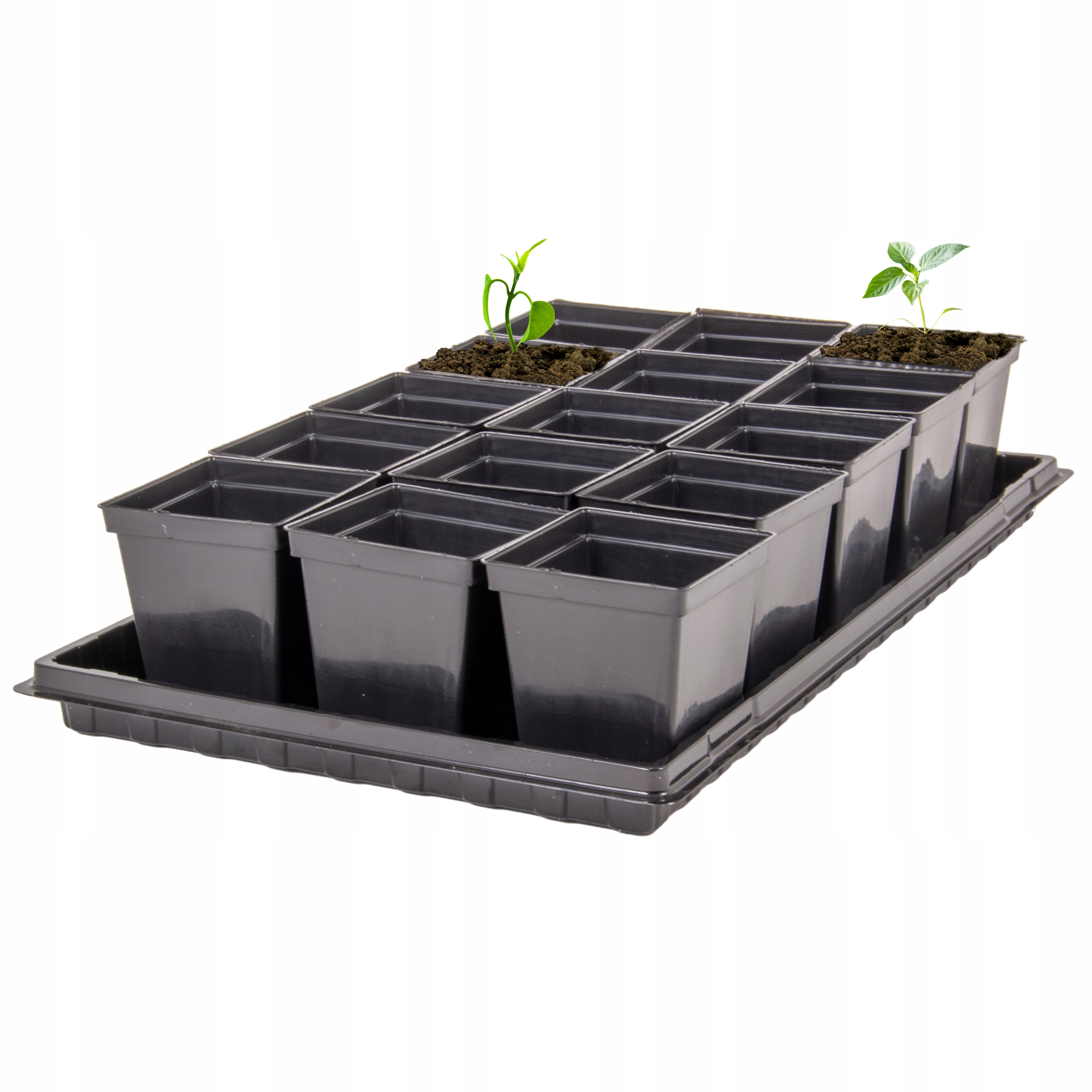 

Doniczki produkcyjne P9 15szt. z podstawką