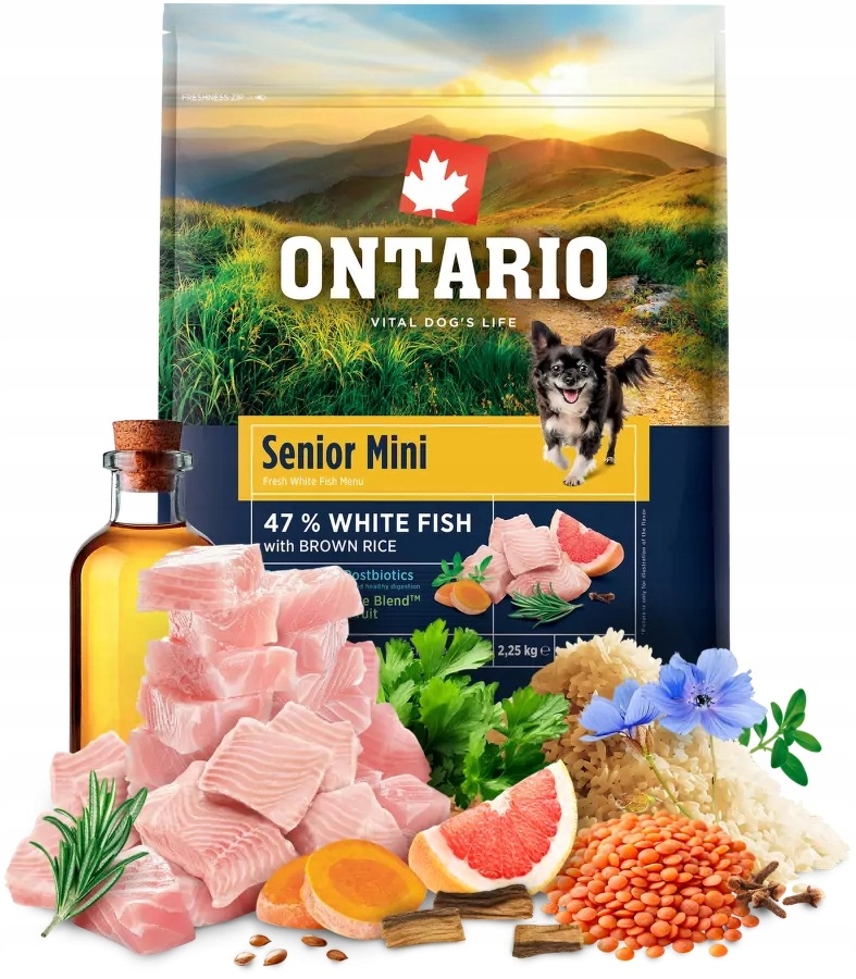 Ontario 2,25kg Senior Mini Fish Krmivo pro starší psy malých plemen s