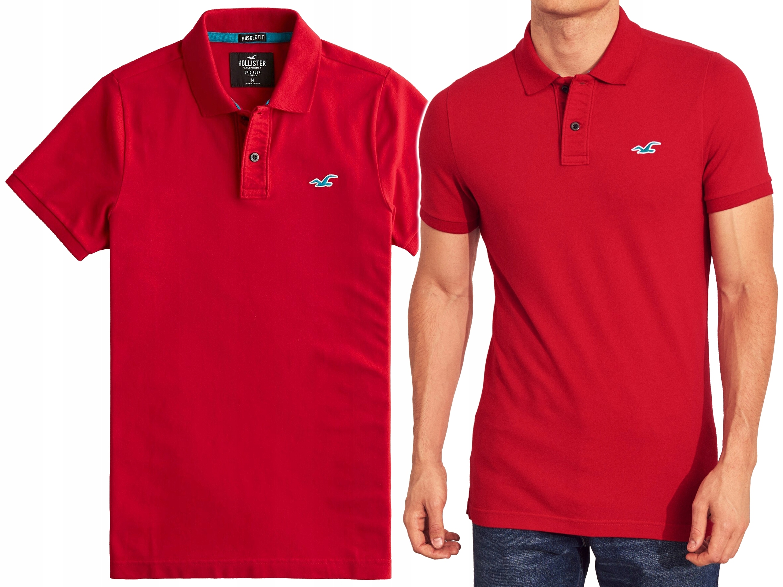 

Hollister by Abercrombie Koszulka Polo Usa M