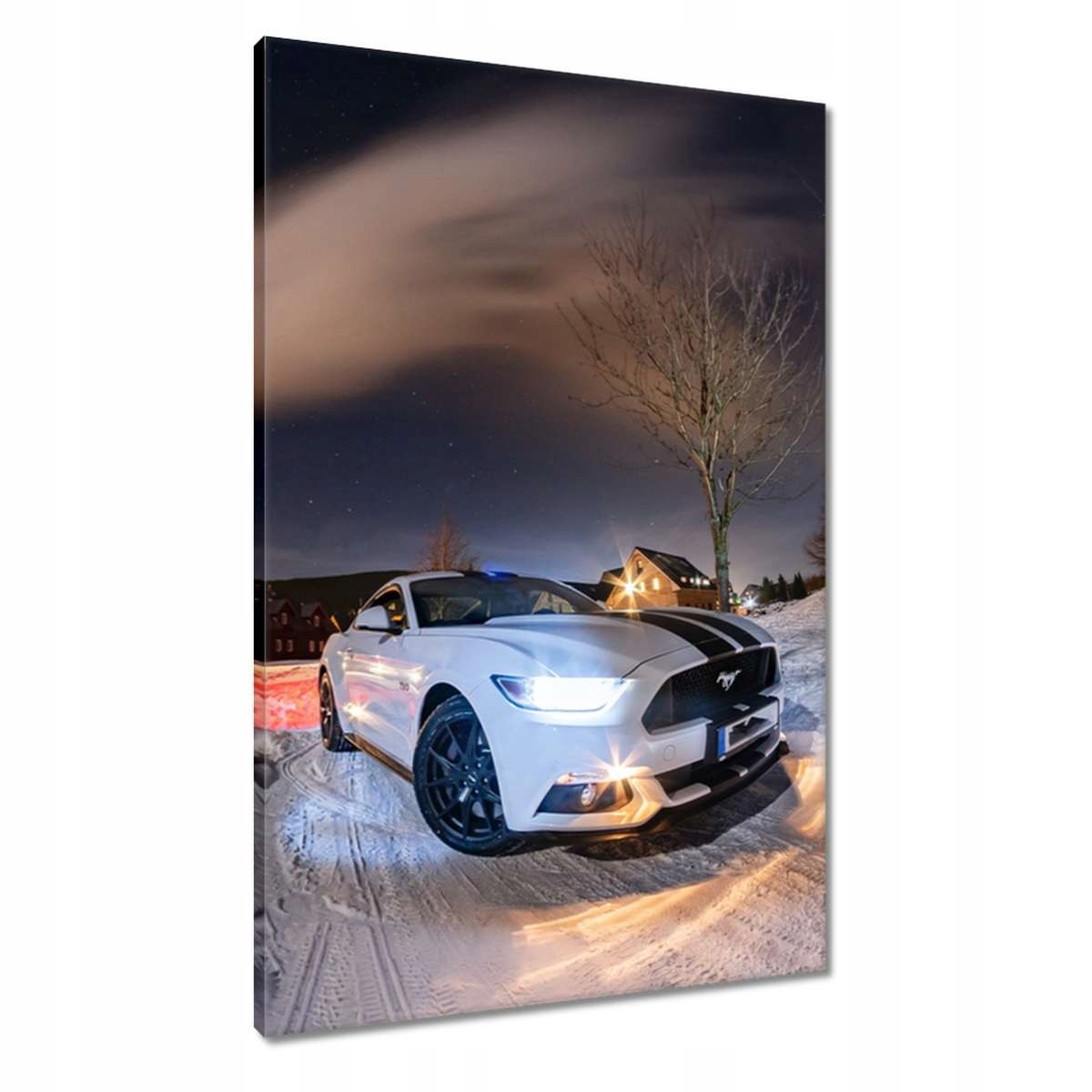 Obrazy 60x90 Bílý Ford Mustang v zimě