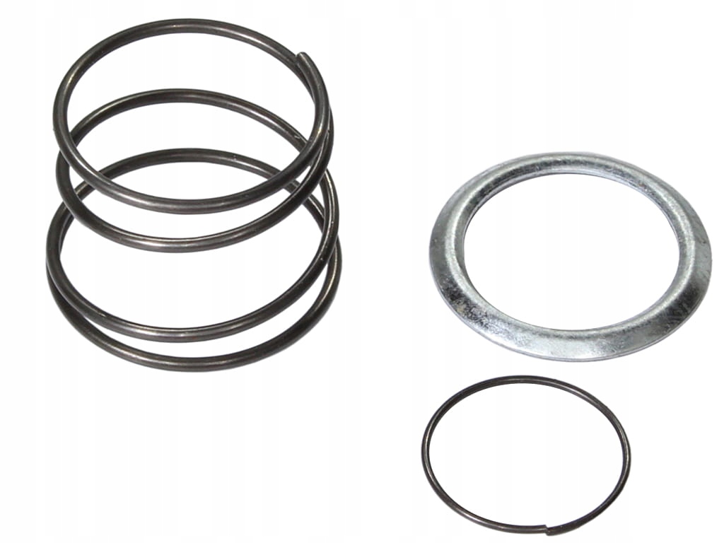 SPRĘŻYNA ZĘBATKI KOPNIAKA MZ ETZ 150 DUELLS DI