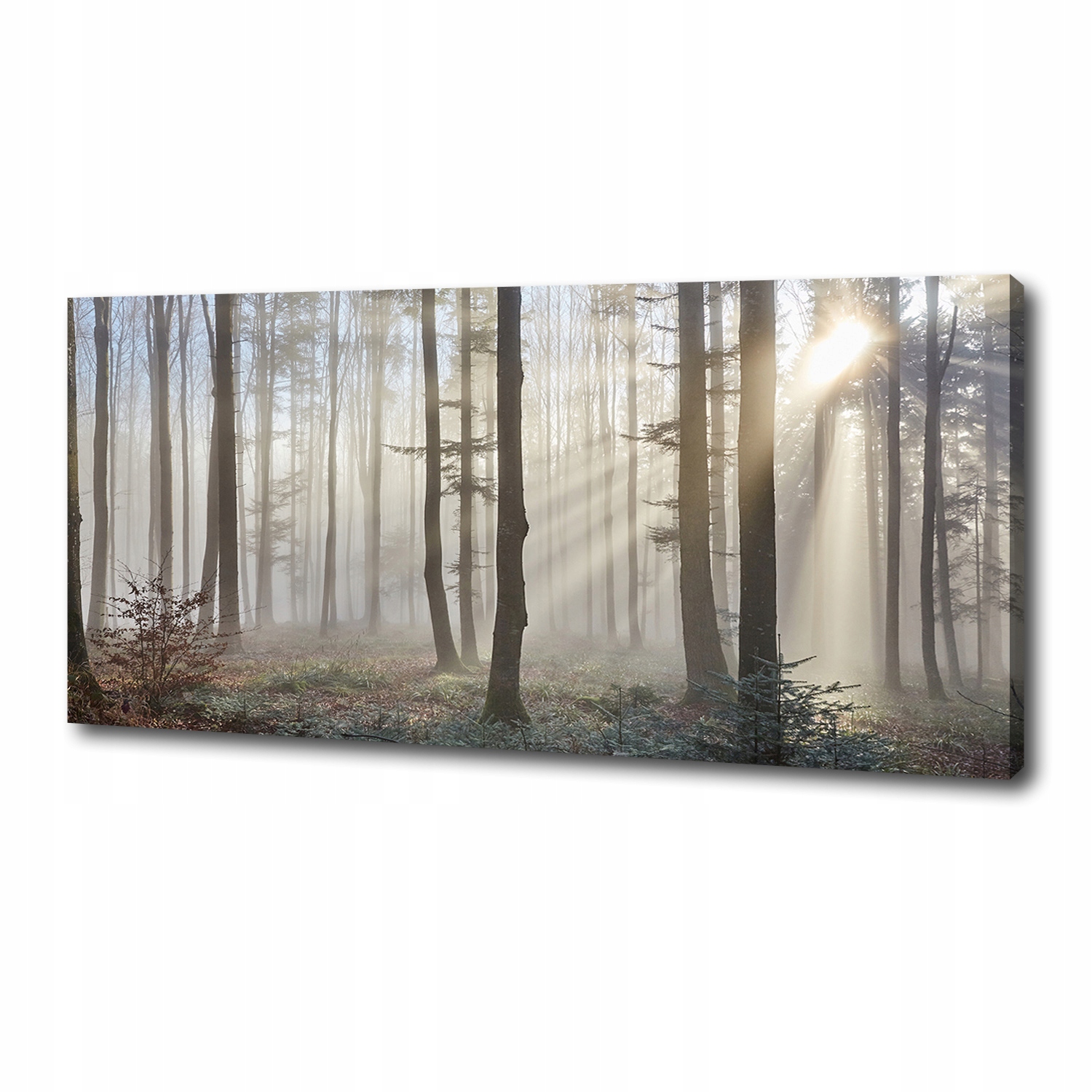 

Foto obraz duży na płótnie Mgła w lesie 125x50 cm