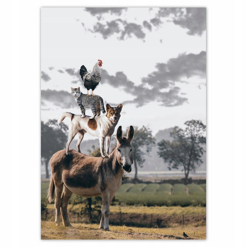 

Naklejki 50x70 Zwierzęta Zwierzątka