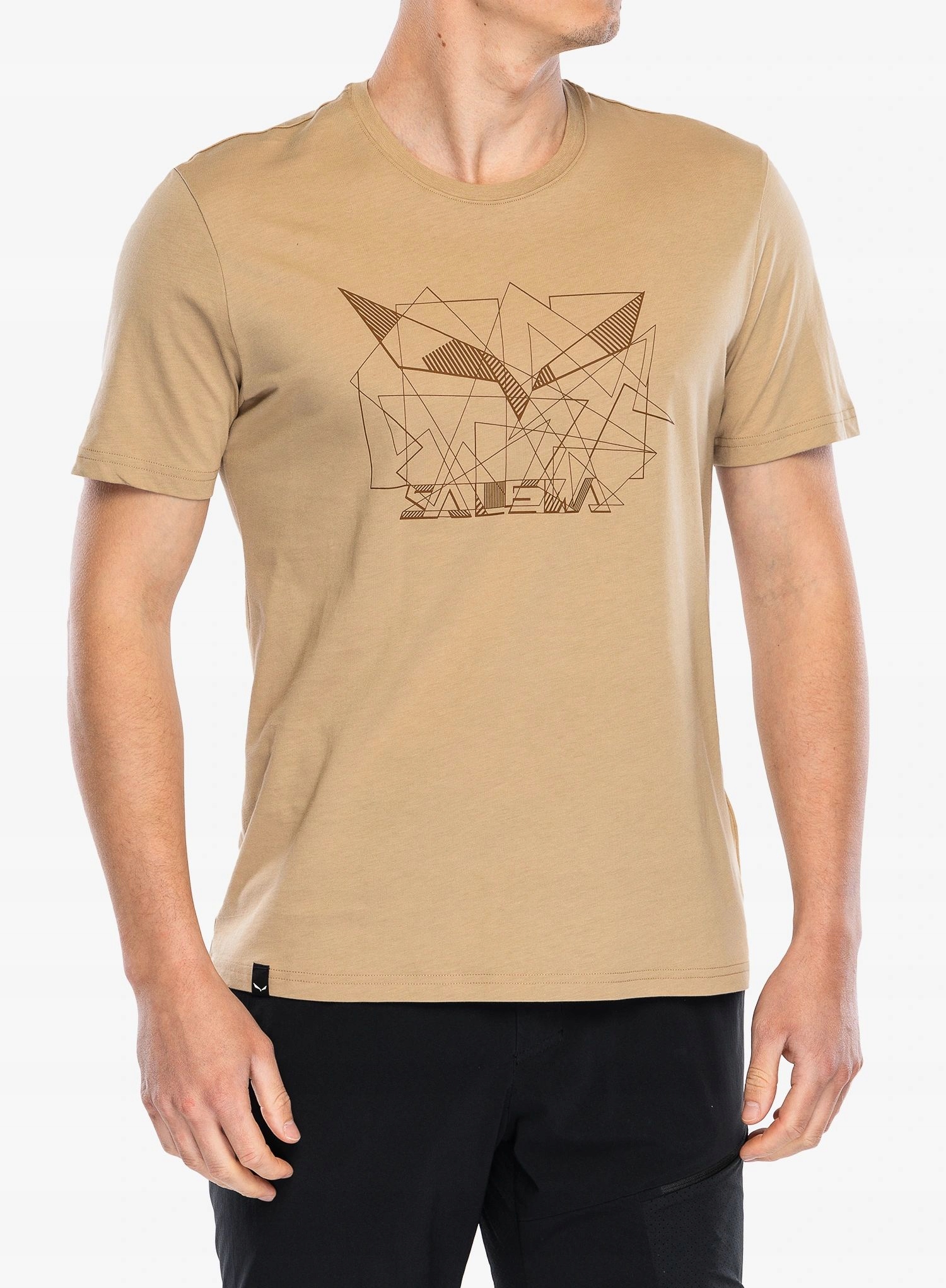 Tričko s potiskem Salewa Eagle Geometric T-Shirt quicksand S